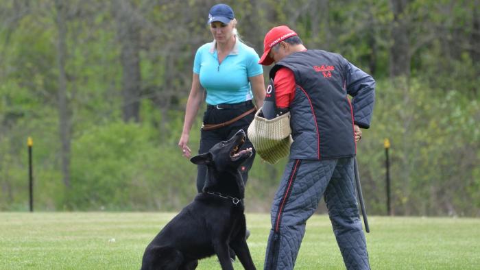 Marvin - 2016 Ontario Regionals with Champion Checker & Shanon