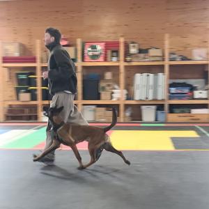 Kieran Magner's picture