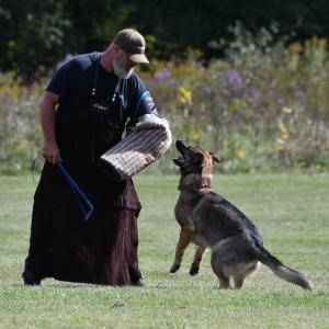 Jack Dinsmore's picture